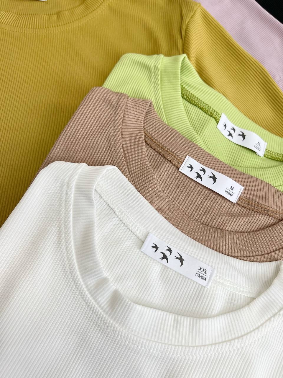 تیشرت کبریتی رنگی کد 3648